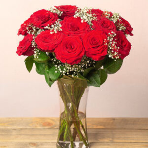 12 Red Roses & Gypsophila