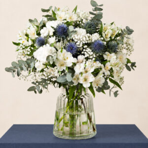 Winter Night Grande